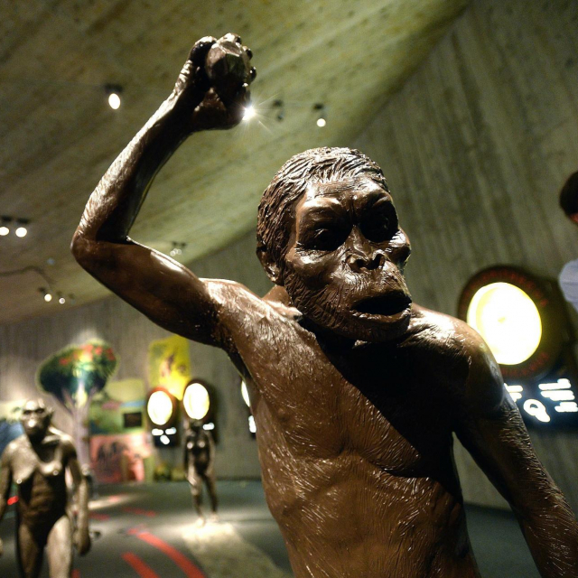 Muzej krapinskih neandertalaca.&lt;br /&gt;
Fotografija: Goran Mehkek/CROPIX