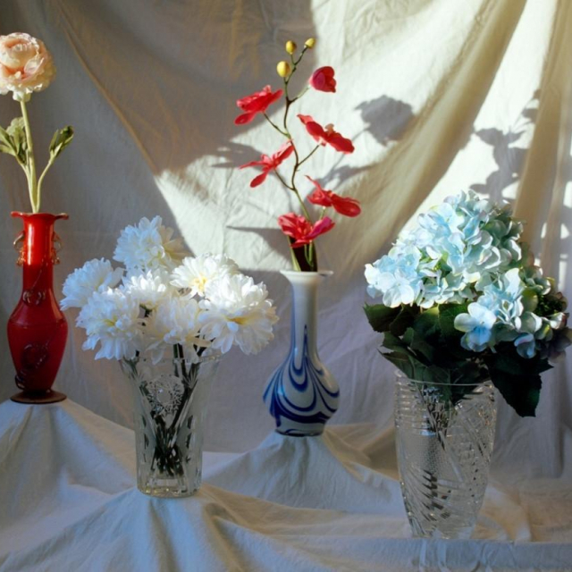 &lt;p&gt;Djedove vaze; Fotografije: Privatna arhiva&lt;/p&gt;